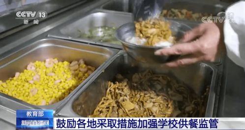 筑牢校園飲食安全網 教育部推動加強供餐監管，守護學生健康底線
